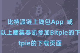 比特派链上钱包App 或者通过以上麇集奏凯参加Bitpie的下载页面