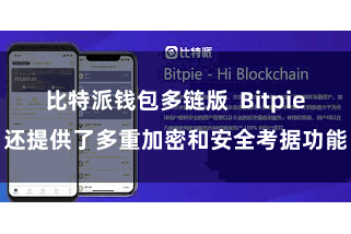 比特派钱包多链版 Bitpie还提供了多重加密和安全考据功能