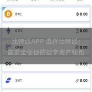 比特派APP 选择比特派：最安全便捷的数字资产钱包