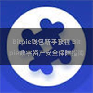 Bitpie钱包新手教程 Bitpie数字资产安全保障指南