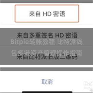 Bitpie转账教程 比特派钱包多链资产管理操作指南