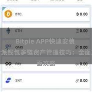 Bitpie APP快速安装 比特派钱包多链资产管理技巧：全面攻略