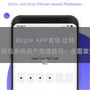 Bitpie APP直链 比特派钱包多链资产管理技巧：全面攻略