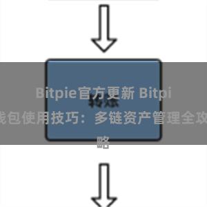 Bitpie官方更新 Bitpie钱包使用技巧：多链资产管理全攻略