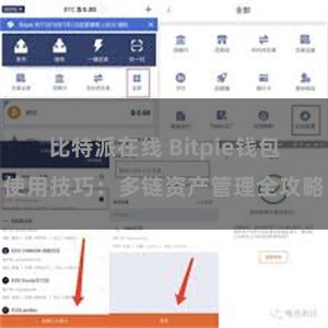 比特派在线 Bitpie钱包使用技巧：多链资产管理全攻略