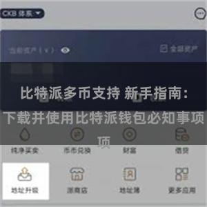 比特派多币支持 新手指南：下载并使用比特派钱包必知事项