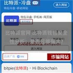 比特派官网 比特派钱包安全性分析：是否足够强大？