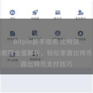Bitpie新手指南 比特派钱包使用教程全面解析，轻松掌握比特币支付技巧
