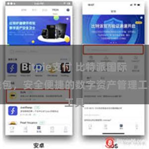 Bitpie支付 比特派国际钱包，安全便捷的数字资产管理工具