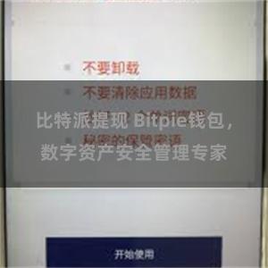 比特派提现 Bitpie钱包，数字资产安全管理专家