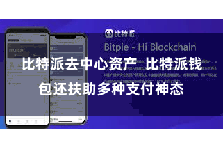 比特派去中心资产  比特派钱包还扶助多种支付神态