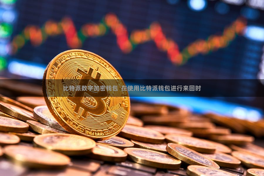 比特派数字加密钱包  在使用比特派钱包进行来回时