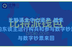 比特派去中心资产  越来越多的东谈主运行构兵和参与数字钞票来回