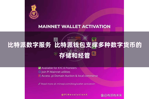 比特派数字服务  比特派钱包支撑多种数字货币的存储和经管