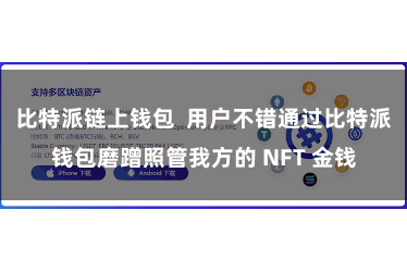 比特派链上钱包  用户不错通过比特派钱包磨蹭照管我方的 NFT 金钱