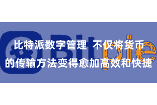 比特派数字管理  不仅将货币的传输方法变得愈加高效和快捷
