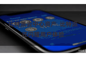 比特派去中心资产  比特派还闪耀用户体验